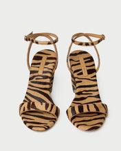 Gavi Zebra Wedge