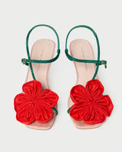 Frank Red/Green Moiré Flower Sandal